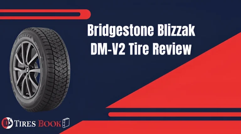 Bridgestone Blizzak DM-V2 Review (2024)