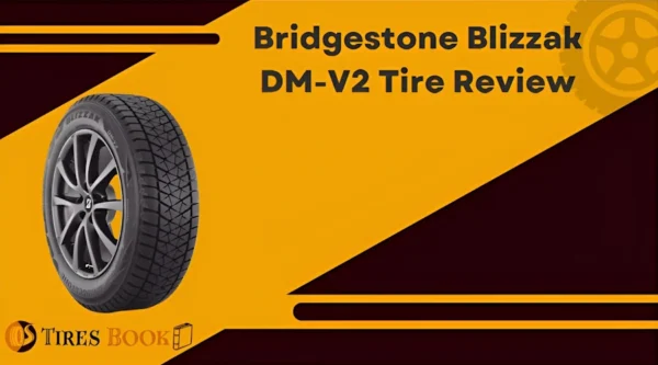 Bridgestone Blizzak DM-V2 Review