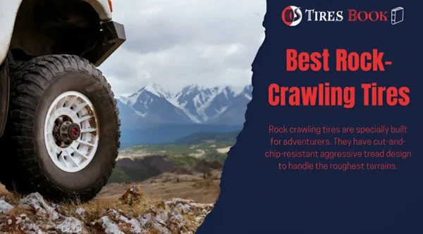 8 Best Rock Crawling Tires: Our Ultimate List of 2024